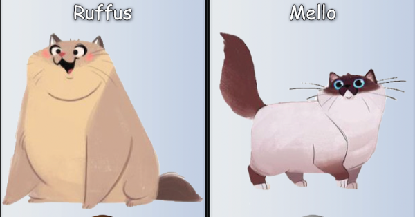 Two adorable cats, one of which is fast